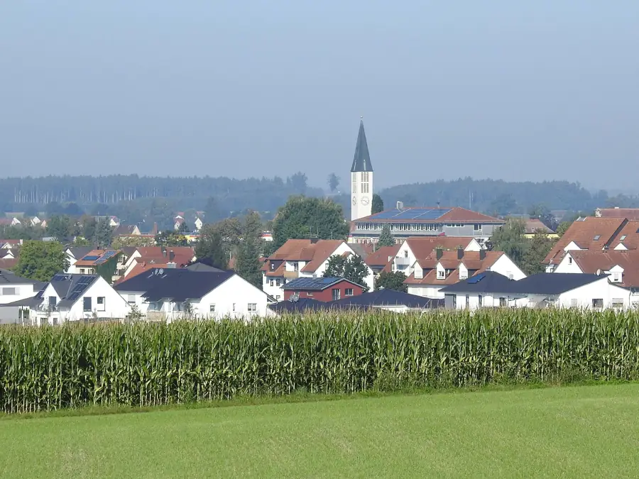 Ortsansicht von Ichenhausen mit Kirchturm hinter einem Maisfeld