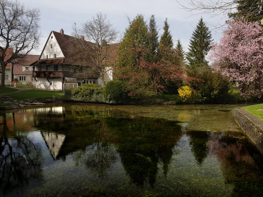 Quelltopf Löffelbrunnen in der Mitte von Langenau im Frühling